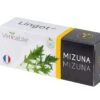 Lingot® Mizuna BIO - Voor Véritable® Indoor Moestuinen