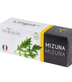 Lingot® Mizuna BIO - Voor Véritable® Indoor Moestuinen