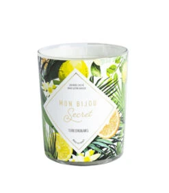 Geurkaars Citrus Met Zilveren Oorbellen 9 Geurkaars Citrus Met Zilveren Oorbellen -Thuis Accessoires Winkel 10fd85bb2bea41a7b33ca7d9022ae6d8