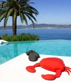 Drijvende XL-buitenpoef Krabvorm -Thuis Accessoires Winkel 130ece726e894c1b9fdb96bbcc81ecab