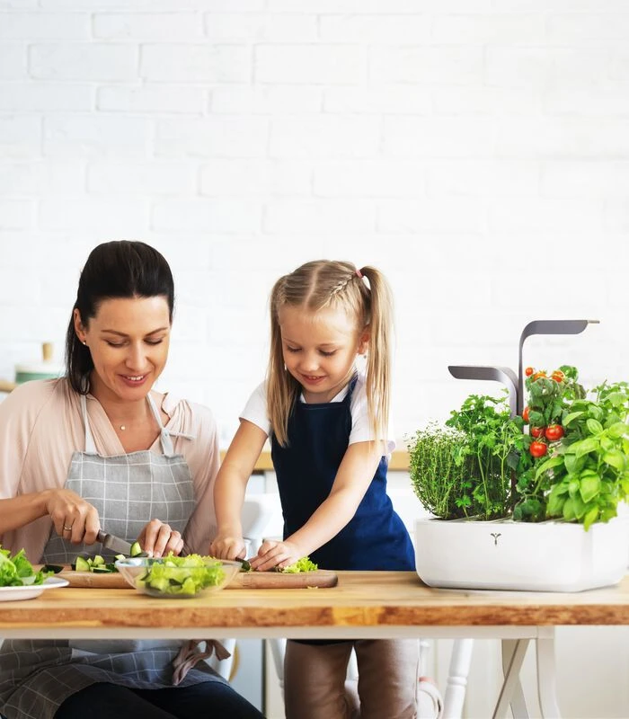 Indoor Moestuin Véritable® Connect Infinity Grey 5 Indoor Moestuin Véritable® Connect Infinity Grey - Afbeelding 3