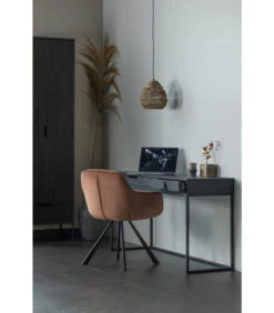 Exclusive Elaine Eetkamerstoel - Velvet - Raspberry - 81x60x59 -Thuis Accessoires Winkel 1ef14e2dc14d4fbc839329364f01543e