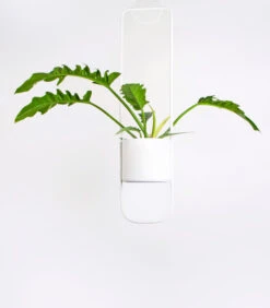 SONAR Wit 6 SONAR Wit -Thuis Accessoires Winkel 2302b515d9624323b185021c605239a4