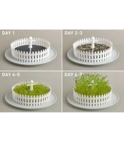 Seed Field -Thuis Accessoires Winkel 29ac6cfba56a40dfb800f4ac1327287b