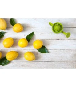 Lemoniere - Citruspers -Thuis Accessoires Winkel 3f93ba1b3a064d7db21df447d0b27aff