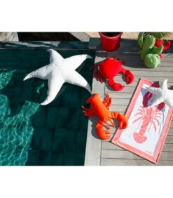 Buitenkussen Zeestervorm -Thuis Accessoires Winkel 518e8e3b11c44de4a62bf3087b1c7c76 1