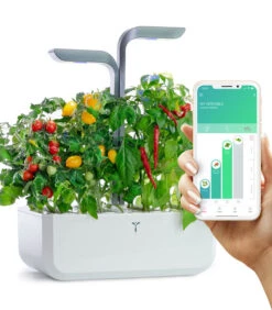 Indoor Moestuin Véritable® Connect Infinity Grey