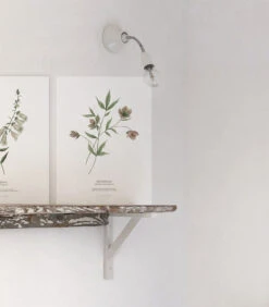 WELLINGTON Set Van 2 Kinderposters - Bloemen Botanicals -Thuis Accessoires Winkel 5b4d9fcdca0344ceaf957482dd72965e