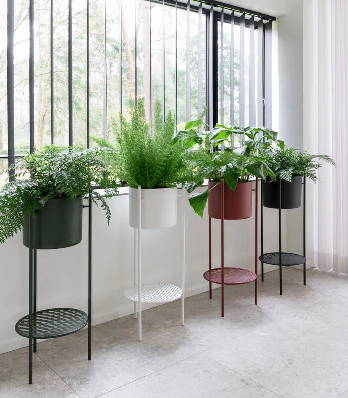 ENT Plantenstaander Medium Groen 4 ENT Plantenstaander Medium Groen - Afbeelding 2