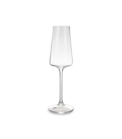 Champagneglas 23cl Muze - Set/4