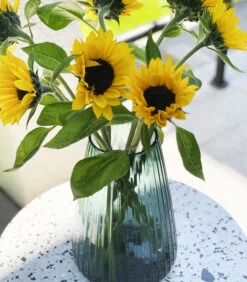 DIM Vaas Stripe Medium Groen 11 DIM Vaas Stripe Medium Groen -Thuis Accessoires Winkel 6041e309471d4be8ba217d90ac413fee