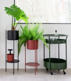 ENT Plantenstaander Medium Groen 9 ENT Plantenstaander Medium Groen -Thuis Accessoires Winkel 6809171d80b8494db646a158b0e0433c