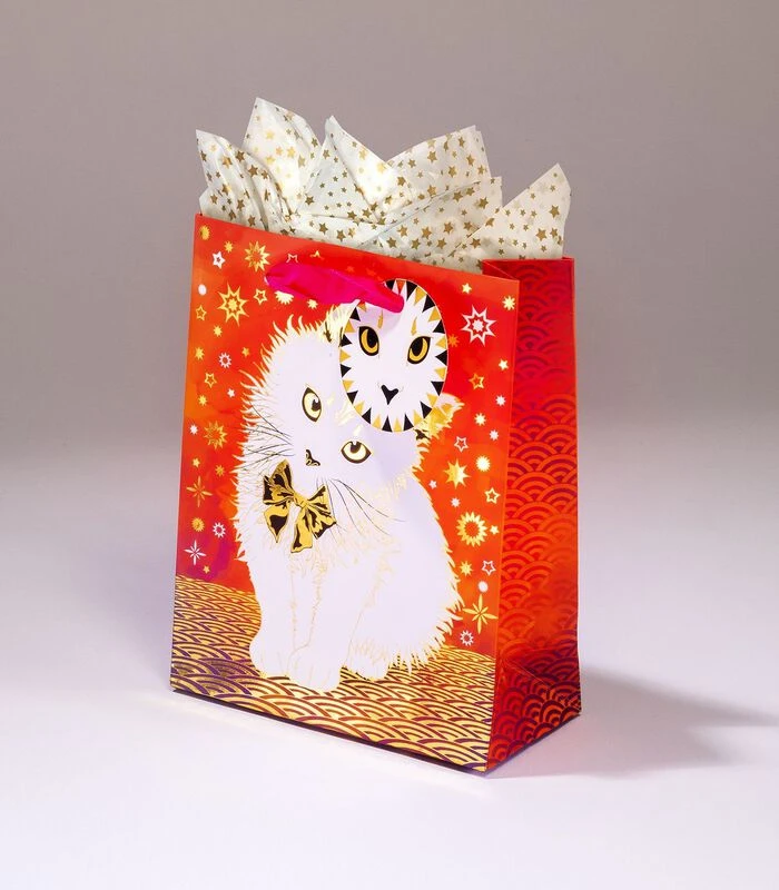 Geschenkentas ChachouL 14 X H 18 X P 6,5 Cm Env 3 Geschenkentas ChachouL 14 X H 18 X P 6,5 Cm Env