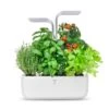 Indoor Moestuin Véritable® SMART Arctic White 2 Indoor Moestuin Véritable® SMART Arctic White -Thuis Accessoires Winkel 6e86c2445a9e4cfabc3fab502df0c5ad