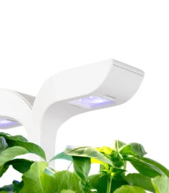 Indoor Moestuin Exky® CLASSIC -Thuis Accessoires Winkel 73d8c69ed97044fe9224c6d4712032b6