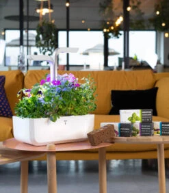 Indoor Moestuin Véritable® SMART Arctic White -Thuis Accessoires Winkel 8869fdf128134adb9f129dd539b7bd17