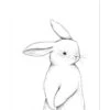 BUNNY - Kinderposter - Voor Konijn -Thuis Accessoires Winkel 886ae0f24778403a8ffa6475d2b42221