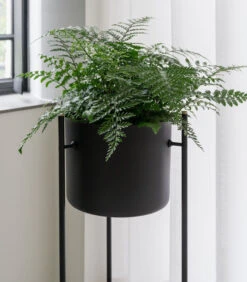 ENT Plantenstaander Medium Groen 8 ENT Plantenstaander Medium Groen -Thuis Accessoires Winkel 89e66e98526e4cffbd781936e0d917e2