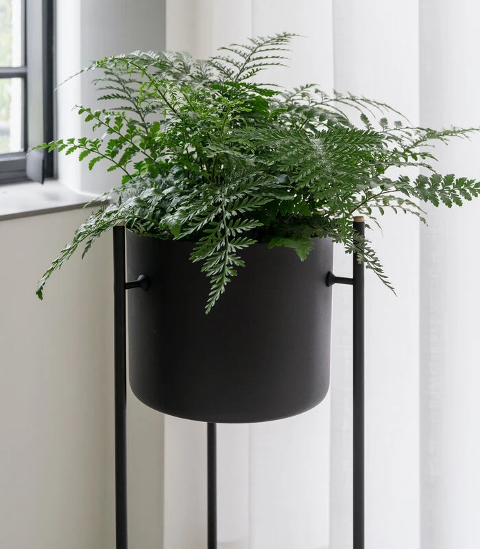 ENT Plantenstaander Medium Groen 5 ENT Plantenstaander Medium Groen - Afbeelding 3