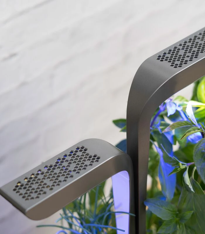 Indoor Moestuin Véritable® Connect Infinity Grey 7 Indoor Moestuin Véritable® Connect Infinity Grey - Afbeelding 5