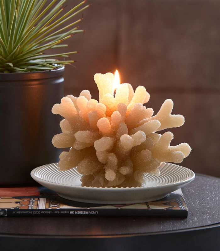 Kaars, Decoratieve Stompkaars Koraal - Coral - Blauw - 1 Stuk 4 Kaars, Decoratieve Stompkaars Koraal - Coral - Blauw - 1 Stuk - Afbeelding 2