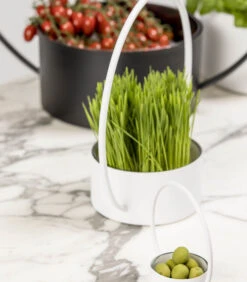 O-COLLECTION Medium Zwart -Thuis Accessoires Winkel 9f8faa38d15d435cb80a7c7aba4f4ae4