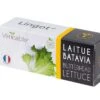 Lingot® Batavia Sla BIO - Voor Véritable® Moestuinen