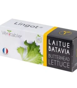 Lingot® Batavia Sla BIO - Voor Véritable® Moestuinen