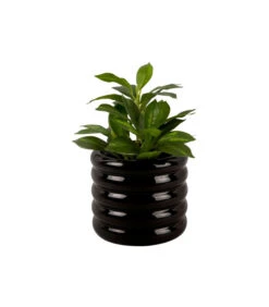 PRESENT TIME Bloempot Bobbly Glazed - Zwart - Ø17,5cm -Thuis Accessoires Winkel b76b9cd109574999a772f36820cfe16f