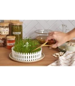 Seed Field -Thuis Accessoires Winkel c9fb8acc5e0f4a2dbb5b96a14ddb4eff