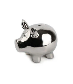 Spaarpot Zilver Oink