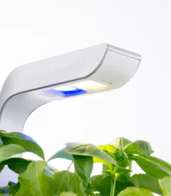 Indoor Moestuin Véritable® SMART Arctic White -Thuis Accessoires Winkel e1239318136446a08d63a8bc5dc25196