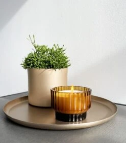 VOLTA Large Geurkaars FOREST MIST -Thuis Accessoires Winkel eb60920ab3a2442e94b86f67b9e9cd50 2